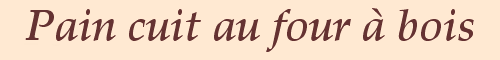 Pain cuit au four  bois